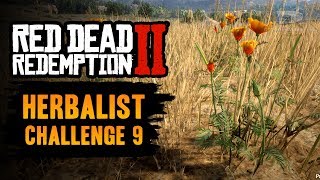 Red Dead Redemption 2 Herbalist Challenge 9 Guide  Pick one of each species of herb [upl. by Ennaxxor]