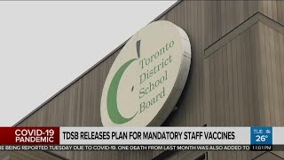 TDSB releases plan for mandatory staff vaccines [upl. by Navinod640]