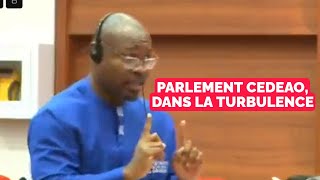 Parlement de la CEDEAO le député Guy Marius Sagna frappe encore et apostrophe la Suisse et les USA [upl. by Rothberg542]