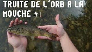 Pêche à la mouche des truites de lOrb en coup du soir 1 [upl. by Niwdla]