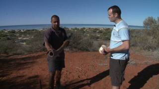 How to play the didgeridoo and the conch shell [upl. by Yenahteb]