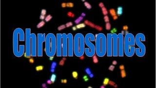 Chromosomes [upl. by Eleda871]