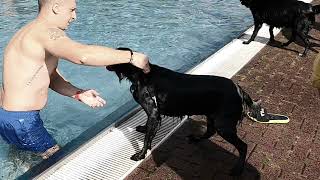 Freibad Gelnhausen 15092024 🐕 [upl. by Brinson]