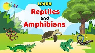 Reptiles Names For kids in English  Learn Reptiles and Amphibians for Children  Amphibians Names [upl. by Marden213]