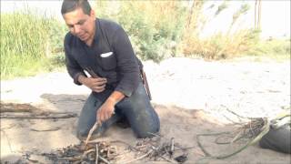 Desert Survival Food Cattails Typha latifolia [upl. by Etiam]