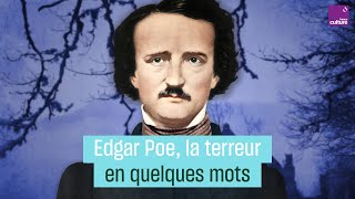 quotLa Chute de la maison Usherquot  pourquoi la nouvelle fantastique dEdgar Allan Poe fascine [upl. by Anada550]