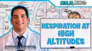 Respiratory  Respiration at High Altitudes [upl. by Perretta]