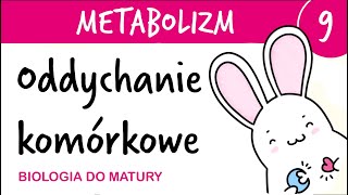 Metabolizm 9  Oddychanie 🫁 komórkowe tlenowe jako gra komputerowa 🎮  biologia do matury [upl. by Galatea]