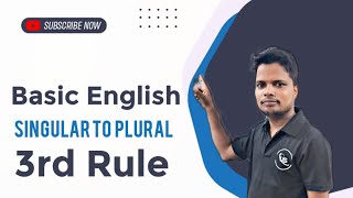 Singular To Plural  3rd Rule  US Classes [upl. by Bullis188]