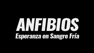 quotANFIBIOS Esperanza en sangre fríaquot UCR 2017 [upl. by Kilar]