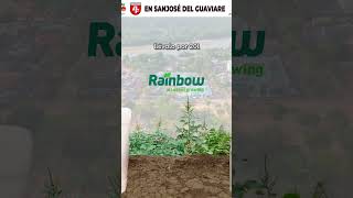 Futuragro en San José del Guaviare te brinda la completa línea de productos rainbowagrocolombia [upl. by Porcia]