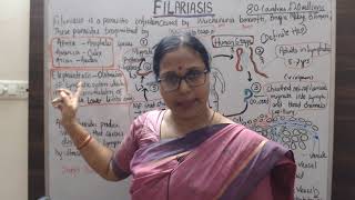 What is Filaria it’s cause and pathophysiology filaria whatisfilaria [upl. by Barbey]