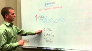 Fibrate Drugs How to Treat Hypertriglyceridemias [upl. by Emelen]