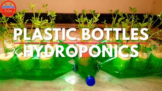 DIY Hydroponics How to build a Hydroponics system with Plastic Bottles for Balcony Garden 2020 [upl. by Anegal]