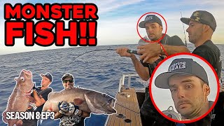 You WON’T BELIEVE what bait we used to catch these BASS GROUPER  S8 EP3 Whangaroa [upl. by Gadmon]