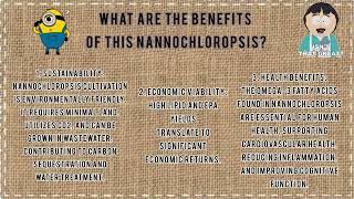 Nannochloropsis Production  SQ21803  Group Assignment [upl. by Aubin]