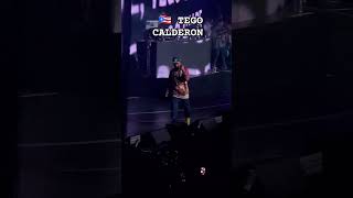 🇵🇷Tego Calderon En Vivo music reggaeton musica antibrokebarbersclub tegocalderon [upl. by Nikolia]