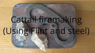 cattail firemaking using Flint and steel [upl. by Nitsuj]