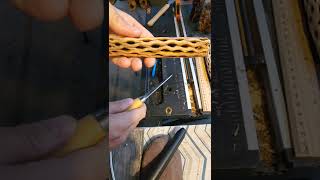 How I Clean Cholla Wood [upl. by Malsi]