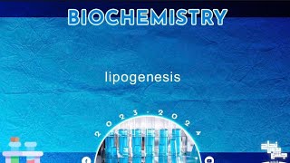 L 17 18 Lipid metabolism 12 Fatty acids synthesis and lipogenesis  Biochemistry [upl. by Swee339]