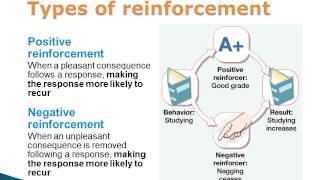 Operant Conditioning Positive and Negative Reinforcement and Punishment [upl. by Fruma]