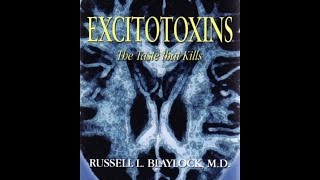 MSG amp Excitotoxins The Silent Killers  Dr Russell Blaylock [upl. by Lonne]