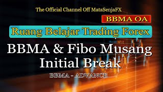 BBMA Fibo Musang Initial Break [upl. by Gettings]