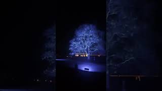 CHATSWORTH HOUSE CHRISTMAS MARKET AND LIGHT TRAIL 25TH NOVEMBER 2023 [upl. by Nai650]