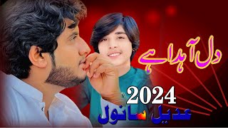 Daily adia ha  TikTok viral Song  2024 Adeel Sanwel  2024 Jhok Production PK [upl. by Nnylrahc]