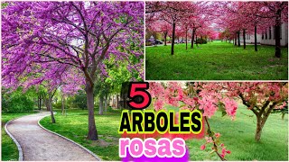 Árboles Rosas y Bonitos para tu JARDÍN [upl. by Ititrefen315]