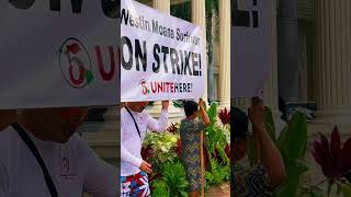 Waikiki Hotel Staff on Strike hawaiitravel laborday2024 waikikibeach shorts ytshorts hawaii [upl. by Iverson]