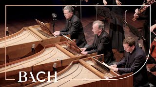 Bach  Concerto for three harpsichords in D minor BWV 1063  Mortensen  Netherlands Bach Society [upl. by Anwahsar884]