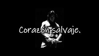 Corazon Salvaje  Mijares Con letra [upl. by Nosreme326]