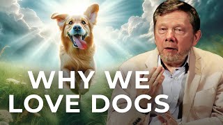 Eckhart Tolle on Dogs A Life Beyond Ego [upl. by Brigette]