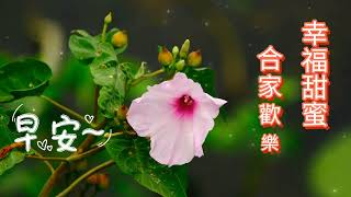 早安 喇叭花集 早安图片 早安祝福轻松音乐 Good morning wishes relaxing music morning glory [upl. by Nunciata]