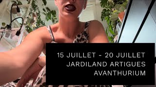 1520 JUILLET JARDILAND ARTIGUES amp ANTHURIUM KING 😍💚 [upl. by Anella]