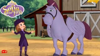 Sofia the First Minimus the Great  Disney Junior [upl. by Yim]