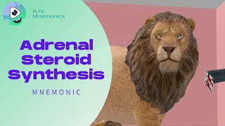 Adrenal Steroid Synthesis Pathway Mnemonic [upl. by Nonah]