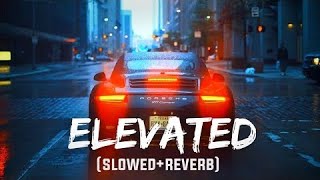 SHUBH  ElevatedOfficial Music Video [upl. by Ssegrub]