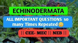 Phylum Echinodermata  Old questions series  CEEMEC  NEB  CLASS 1112 BIOLOGY [upl. by Maunsell]