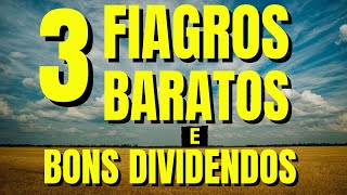 3 FIAGROS BONS E BARATOS PAGANDO BONS DIVIDENDOS [upl. by Garfield]