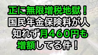 正に無限増税地獄！国民年金保険料が人知れず月460円増額してる件 [upl. by Aeriela789]