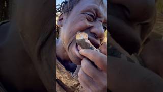 This baboon is so delicioushadzatribe foodnature documentary [upl. by Aehs]