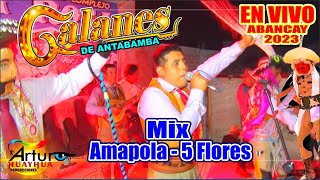 GALANES DE ANTABAMBA 2023  Mix Amapola  5 flores  EN VIVO  Arturo Huayhua [upl. by Channing895]