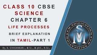 CLASS 10 CBSE SCIENCE CHAPTER 6 LIFE PROCESSES BRIEF EXPLANATION IN TAMIL  PART 1 [upl. by Anahsek]