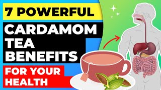 7 Powerful Cardamom Tea Benefits for Your Health [upl. by Anaira]