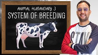 Animal hus3  System of Breeding  Inbreeding  Out breeding [upl. by Squier236]