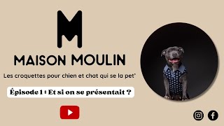 MAISON MOULIN les croquettes pour chien et chat qui se la PET [upl. by Goodyear577]