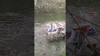 Preparing to feed the fishes of the fishery fishing fish shorts [upl. by O'Rourke]