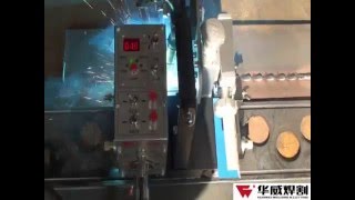 Auto Welding Carriage Flat Rail Type HK5BD By HUAWEI [upl. by Iruyas]